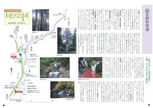 太郎杉歩道ハイキングマップ
