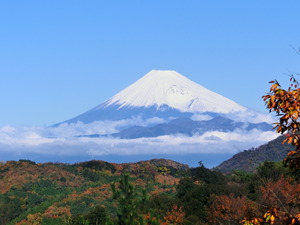 富士見展望台からの富士山（紅葉時期）