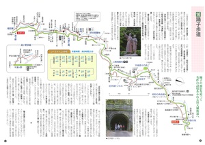 文化の道100選『踊子歩道』（緑で示したルート）