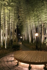 夜はライトアップされ幻想的な竹林の小径