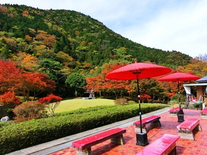 伊豆近代文学博物館に入場すると中庭の紅葉が楽しめる