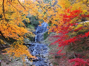 紅葉の旭滝