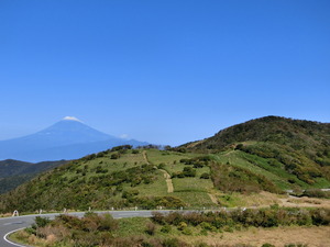 達磨山方面より見る富士山