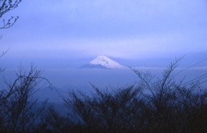 丸野高原からの富士