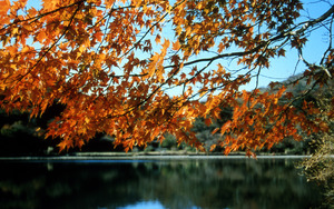 秋の八丁池