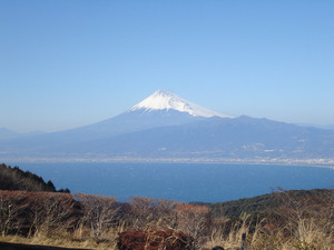 達磨山からの富士山