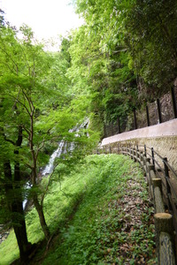 遊歩道が整備され、滝の近くまで行けます！
