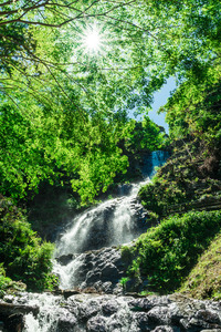 新緑の旭滝