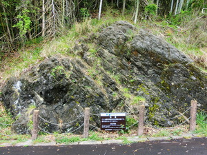 下白岩のレピドシクリナ化石産地