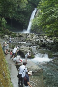 浄蓮の滝とマス釣り風景