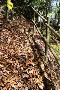 落ち葉が堆積している階段・歩道