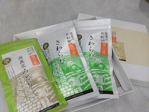 「伊豆韮山反射炉 茶の庵」煎茶セット