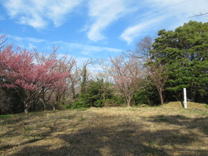 丸山城（出城）