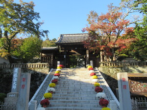 2024.11.21撮影_修禅寺