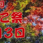 きのこ祭