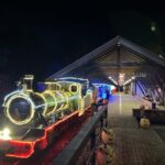 修善寺虹の郷イルミ the ナイト 2025