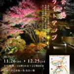 出会い橋ライトアップ