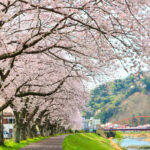 #いずいずお花めぐり2026キャンペーン